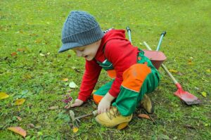 small, gardener, garden