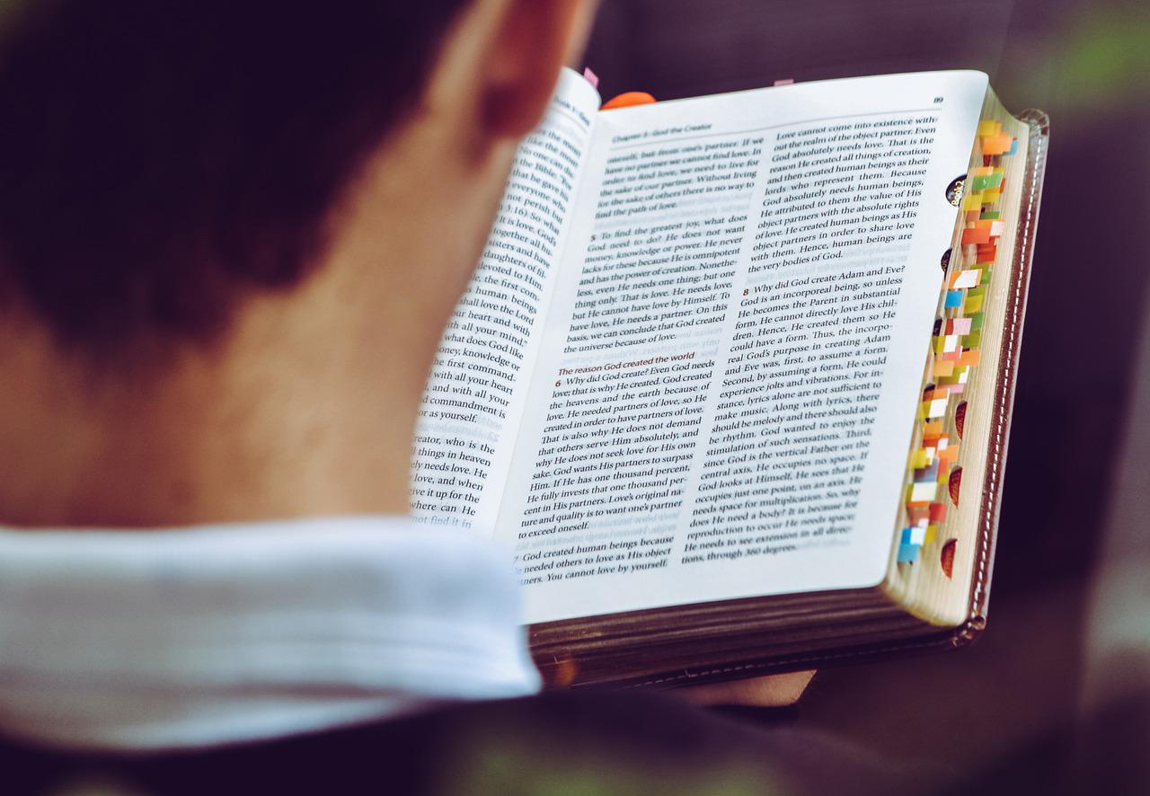 a book, read, text