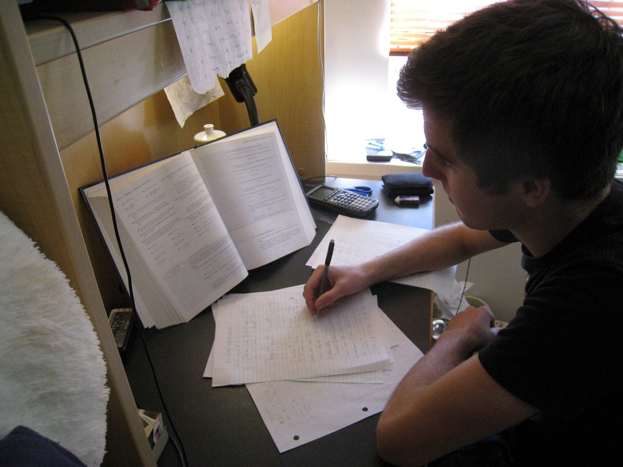 student, concentrated, preperation